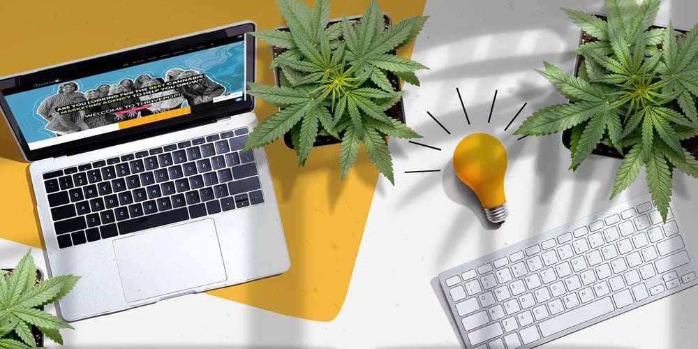 How to Choose the Right Cannabis Digital Marketing Agency
