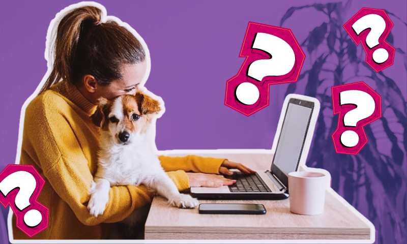 How to Choose the Right Marketing Agency
